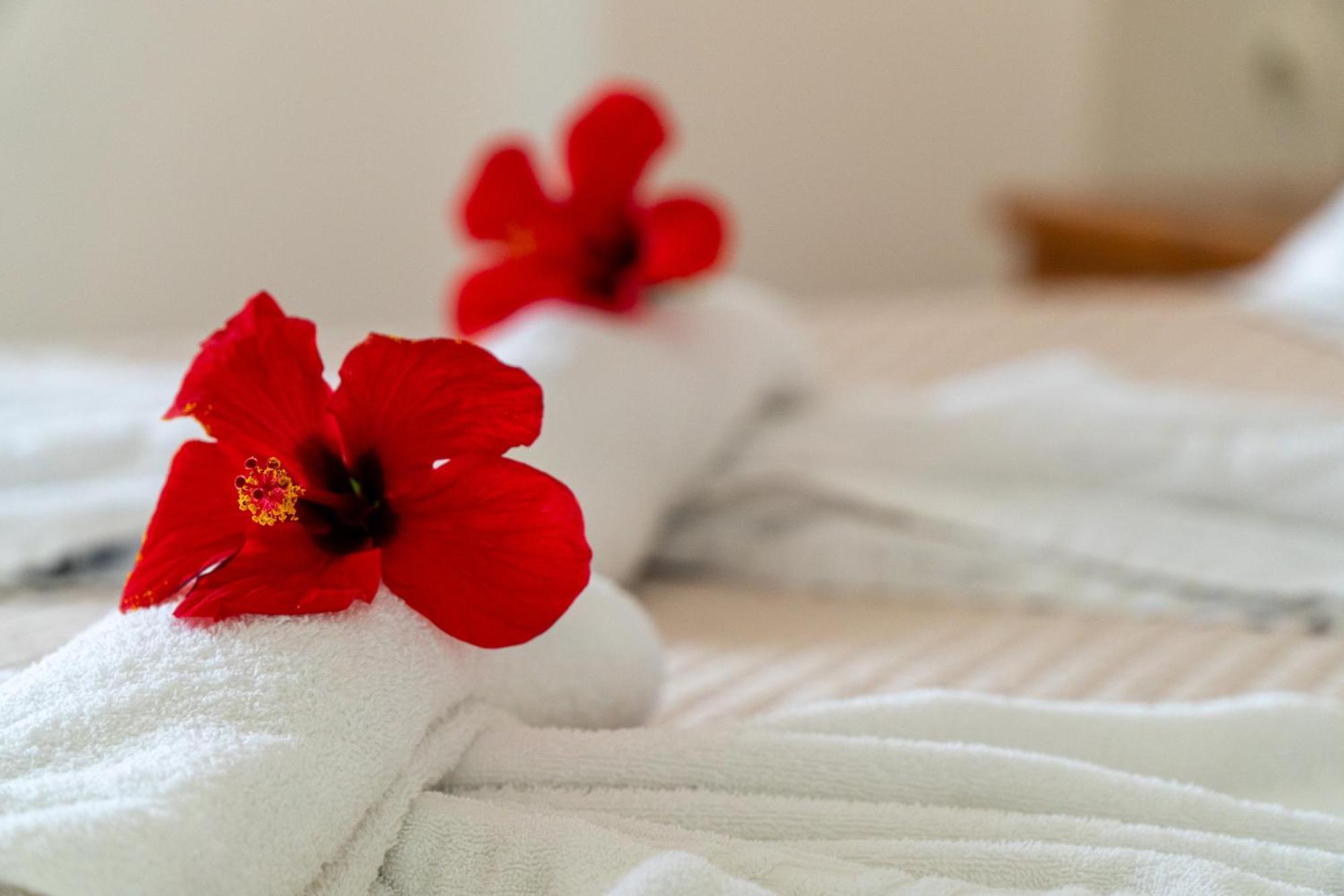 Apartment Anna Maisonette Arillas (Corfu)